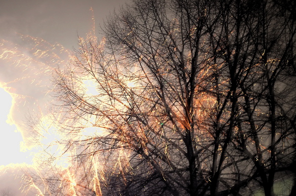 Silvester   033.jpg